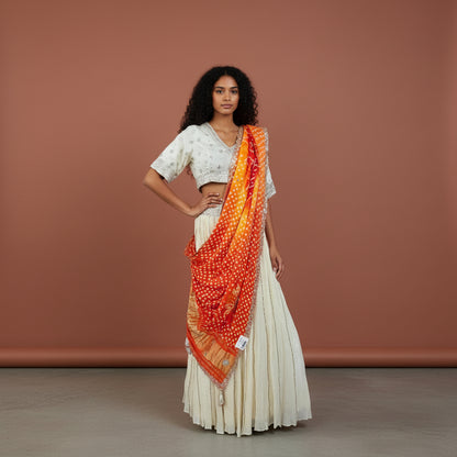 Chiffon Georgette Pleated Lehenga